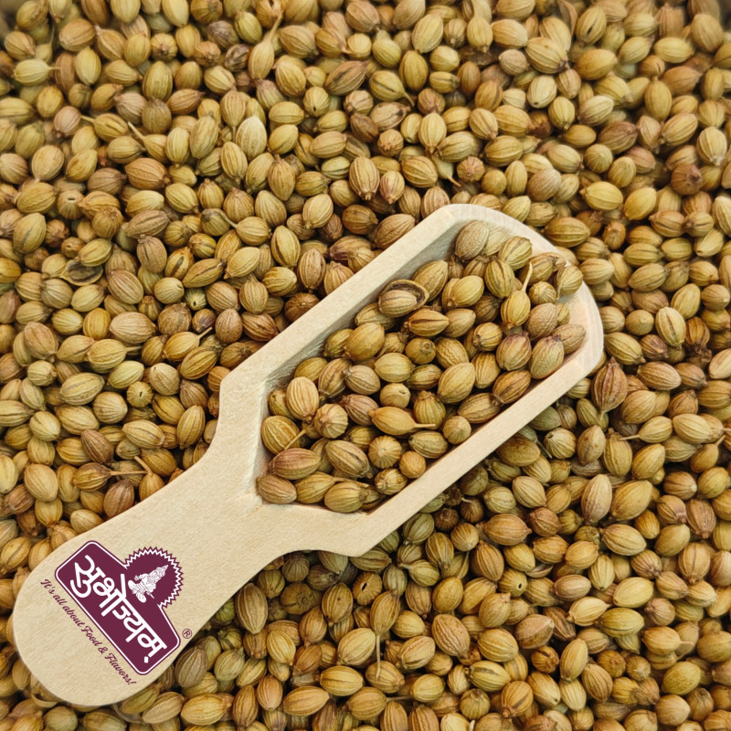 Coriander Coriander